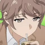 Sakuta Azusagawa from Rascal Does Not Dream of a Dear Friend