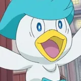 Kuwassu from Pokémon Horizons: The Series