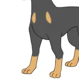 Dober-san from Little Shark's Day Out Season 2