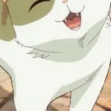 Haneko from The Cat and the Dragon